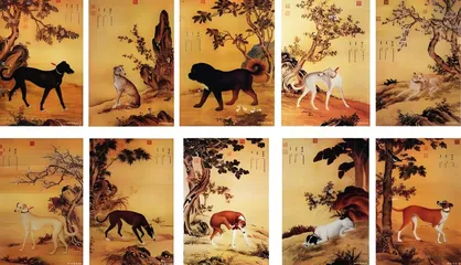 国宝小档案——《十骏犬图册》9