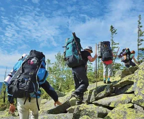 三峡电厂“机器人”智能守护大国重器等6