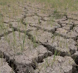 三峡电厂“机器人”智能守护大国重器等7