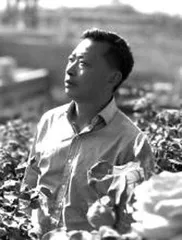 吴元成诗选 [组诗]
