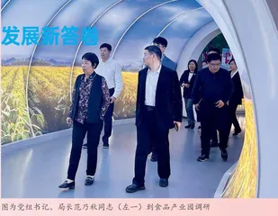 强化政治统审 凝心聚力书写审计高质量发展新答卷 