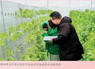 紧盯高质量 守好“钱袋子” 