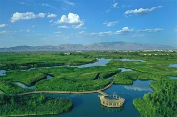 中国“绿肺”