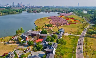 中国“绿肺”2