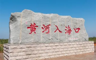 在黄河与海洋碰撞处聆听和谐共生交响曲2