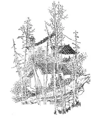 坝坝茶记