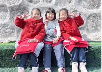 小学数学教学中数学文化的渗透策略
