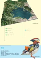 三潭印月——西湖