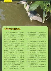 名字超难念的（交鸟）（青鸟）与鸀鳿：一个是“防火神鸟”？一个是“凤凰平替”？1