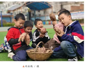 拔尖创新素养导向的跨学科主题学习评价设计