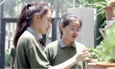 “桥的建设”跨学科项目式学习探索