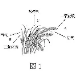 从一道中考模拟题谈对学生核心素养的评价