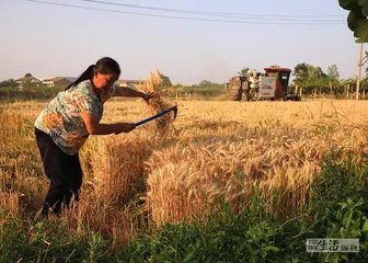 百万平方公里干旱下的农户和土地4