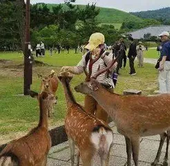 后窗