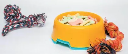 中宠股份：境内三大品牌将持续推出或升级主粮产品