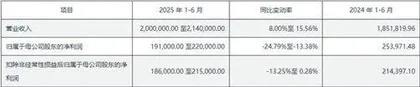 中策橡胶:或为A股最大胎企发行价未明显低估4
