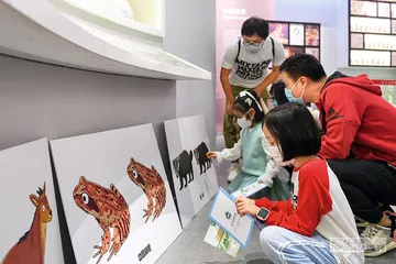 互联网如何影响青少年的学习力？