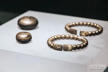 雅趣与享乐：明代人的城市生活11