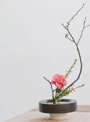 鲜花大变身：花卉组合与造型设计