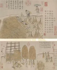 收获：金穗摇曳映秋光，稻熟登场话丰年