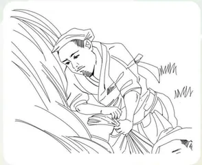 收获:金穗摇曳映秋光,稻熟登场话丰年2