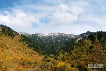 大熊猫的归山之路1