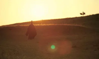 一根藤上七朵花，先秦思想的北斗七星