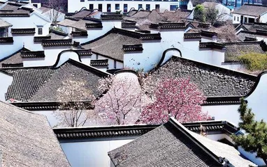 江南“双面绣”2