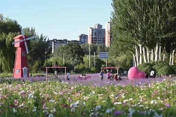 城市美学应注重“人的尺度”3