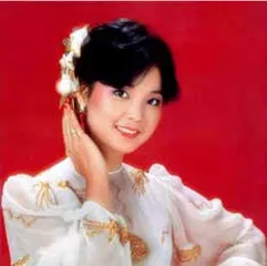 玲珑锦袍映风华6