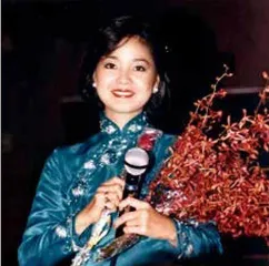 玲珑锦袍映风华7
