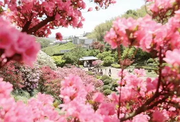春日经济“多点开花”