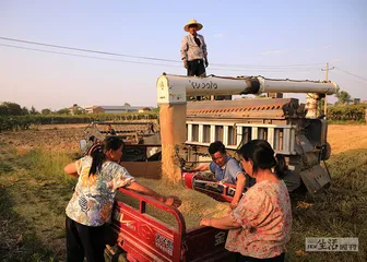 百万平方公里干旱下的农户和土地