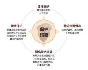 隐匿地下的美味8