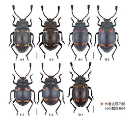 退一万步讲