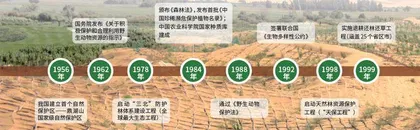 看自然“梳妆” 解锁奇妙生态之旅