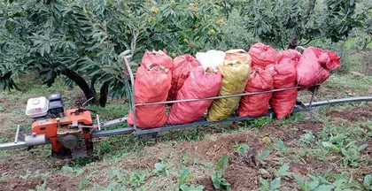 河北兴隆：单轨货运车破解果农运输难题