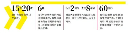 你的身体,眼睛知道1