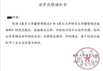 复旦退学卖土豆泥,24岁的出格人生2