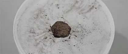 前沿