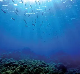前沿1