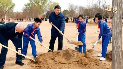 系列视频:习语6