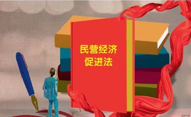 以法治力量护航民营经济