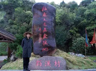 福鼎荒野黄金叶，珍贵的野放白茶1