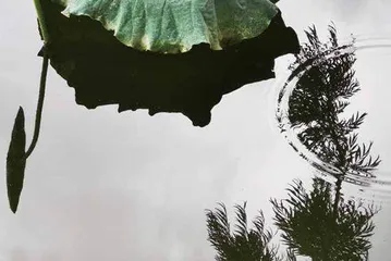 废片的说辞5