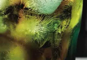 废片的说辞8