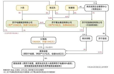苏宁系质押危局