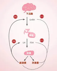 特殊的“访客”,每月太“任性”怎么办?1