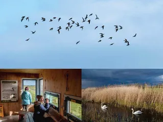 退耕还海:英格兰的大胆尝试1