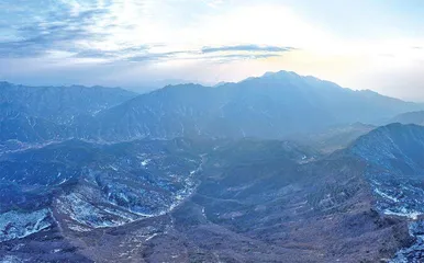 冰期“躲猫猫”的橄榄秦岭蝗